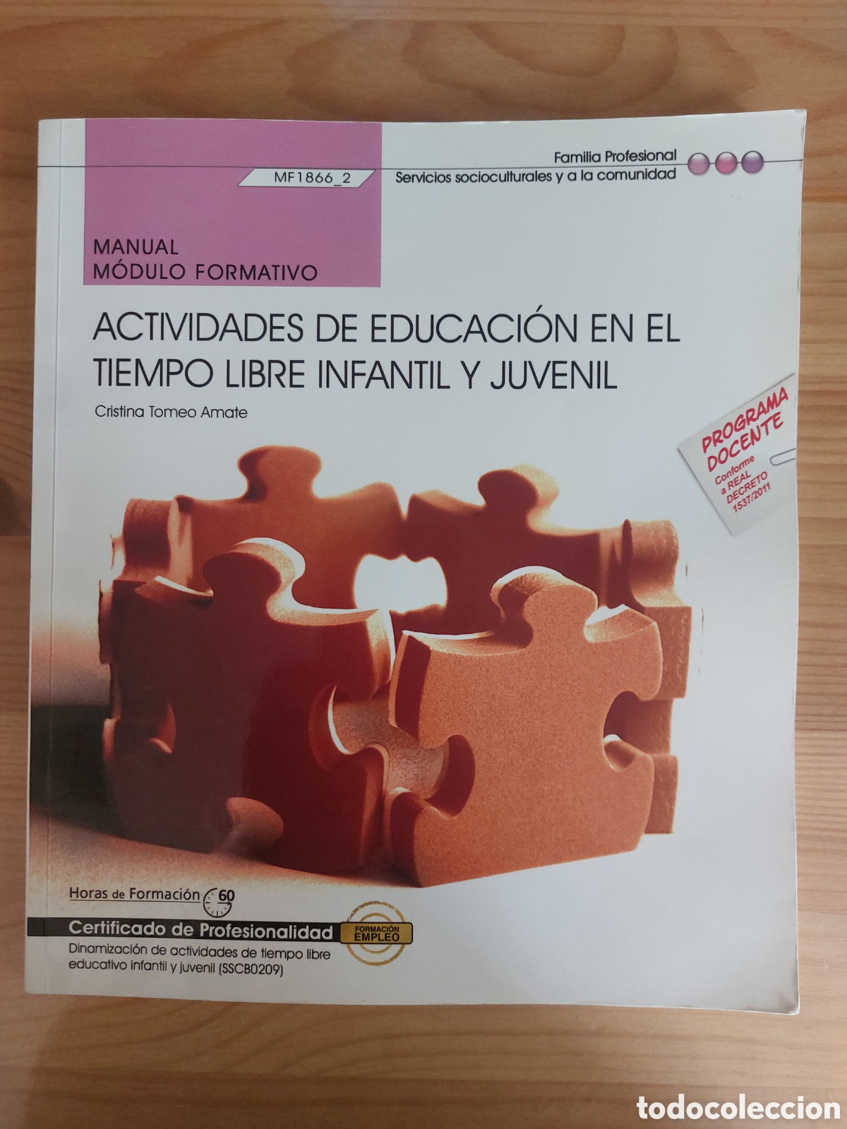 Libros: Actividades de educaci&oacute;n en el tiempo libre infantil y juvenil