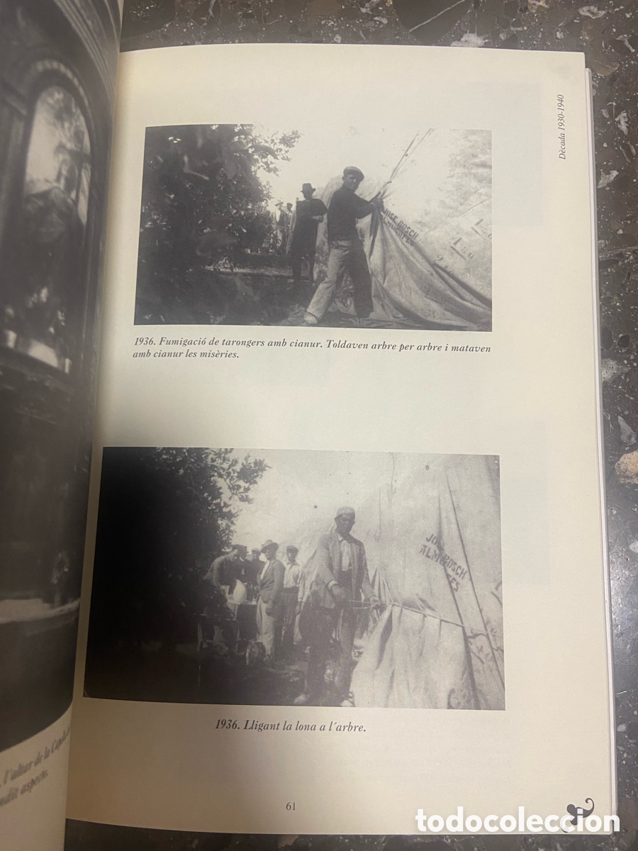 Libros: Libro sobre la historia gr&aacute;fica de Almussafes. - Foto 3