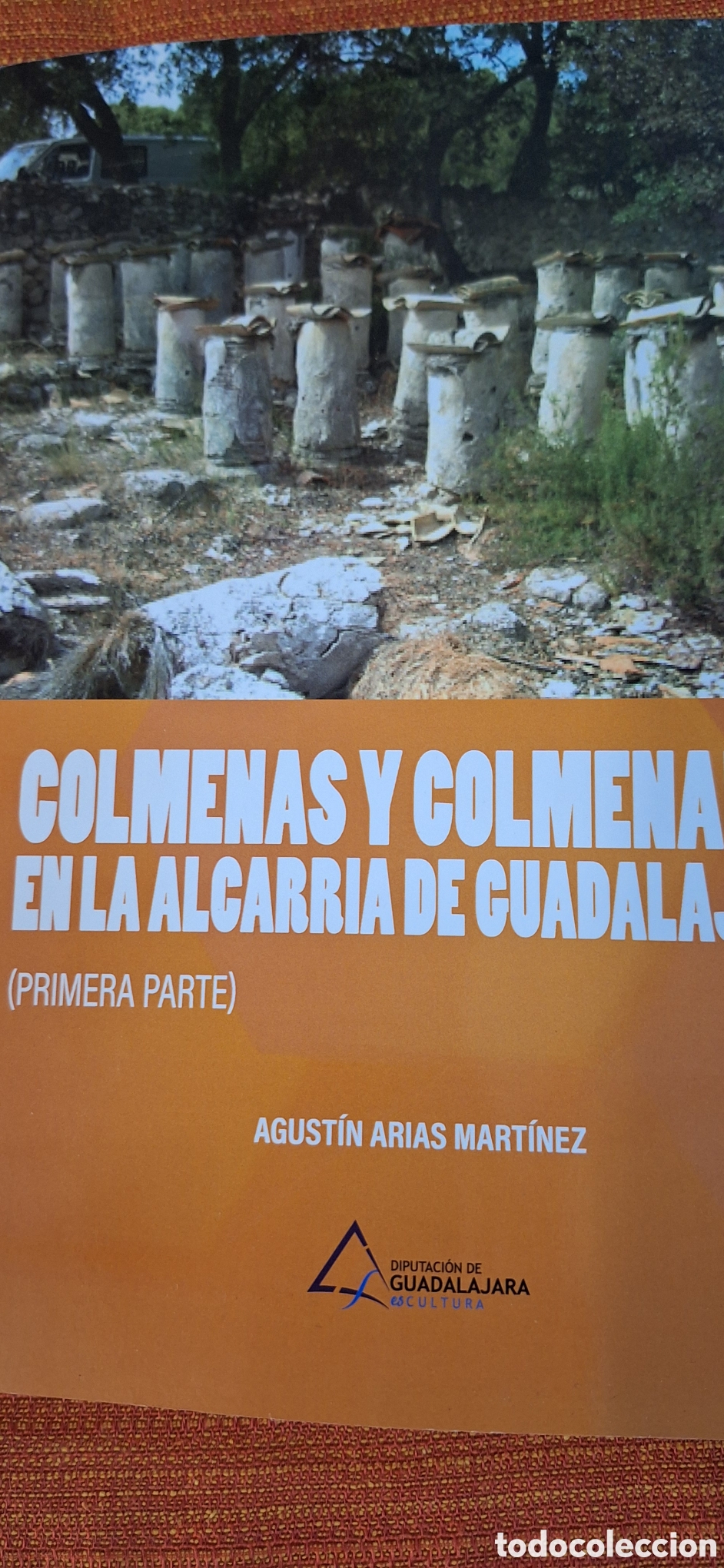 Libros: Colmenas y colmenares en la Alcarria de Guadalajara