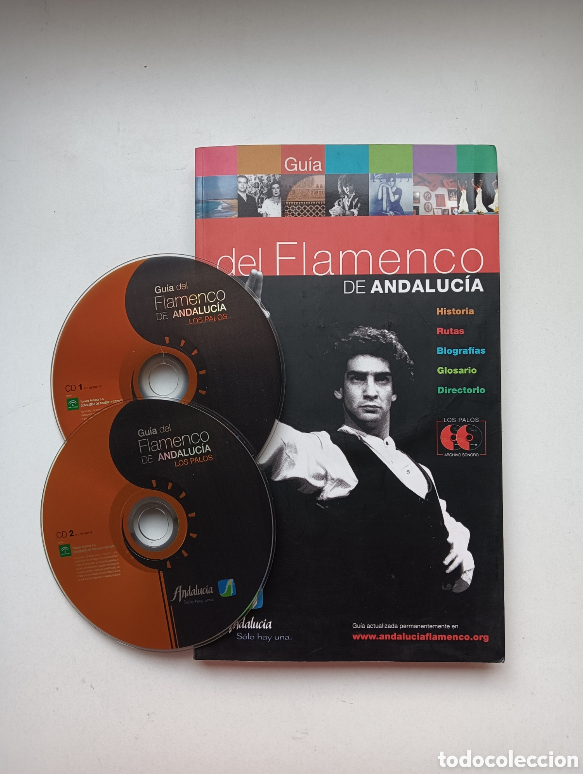 Libros: Gu&iacute;a del flamenco de Andaluc&iacute;a + 2 CD