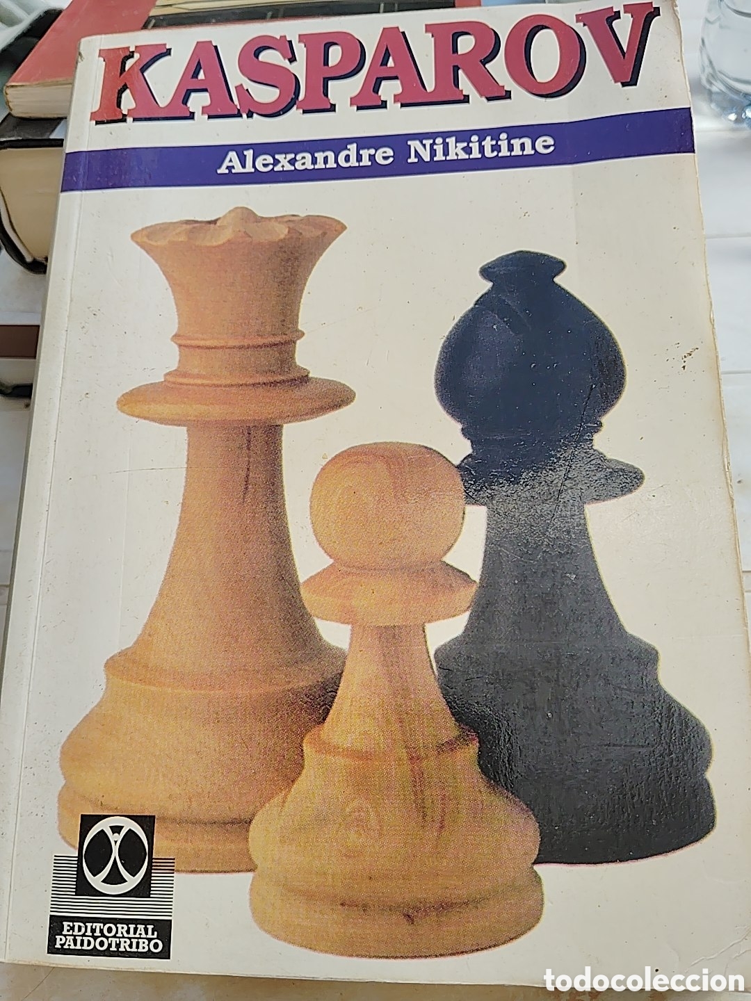 Libros: Kasp&aacute;rov, por Alexandre Nikitine - Foto 1