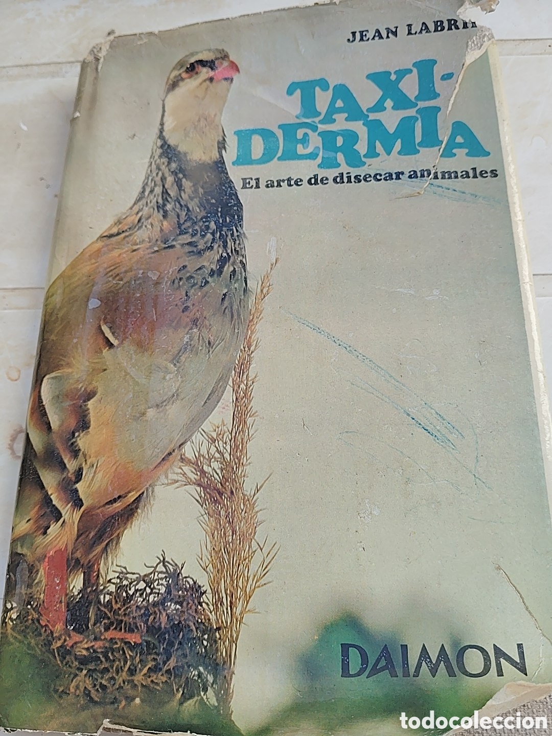 Libros: Taxidermia. Editorial Daimon. A&ntilde;o 1942 - Foto 1