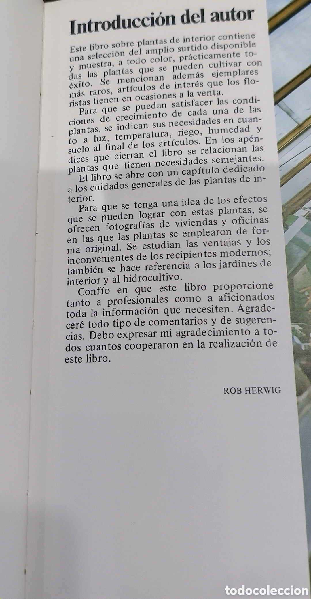 Libros: Plantas de interior con fotografias - Foto 3