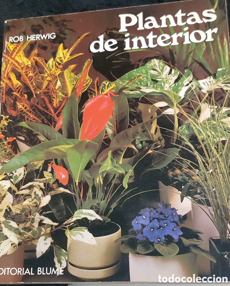 Libros: Plantas de interior con fotografias - Foto 1