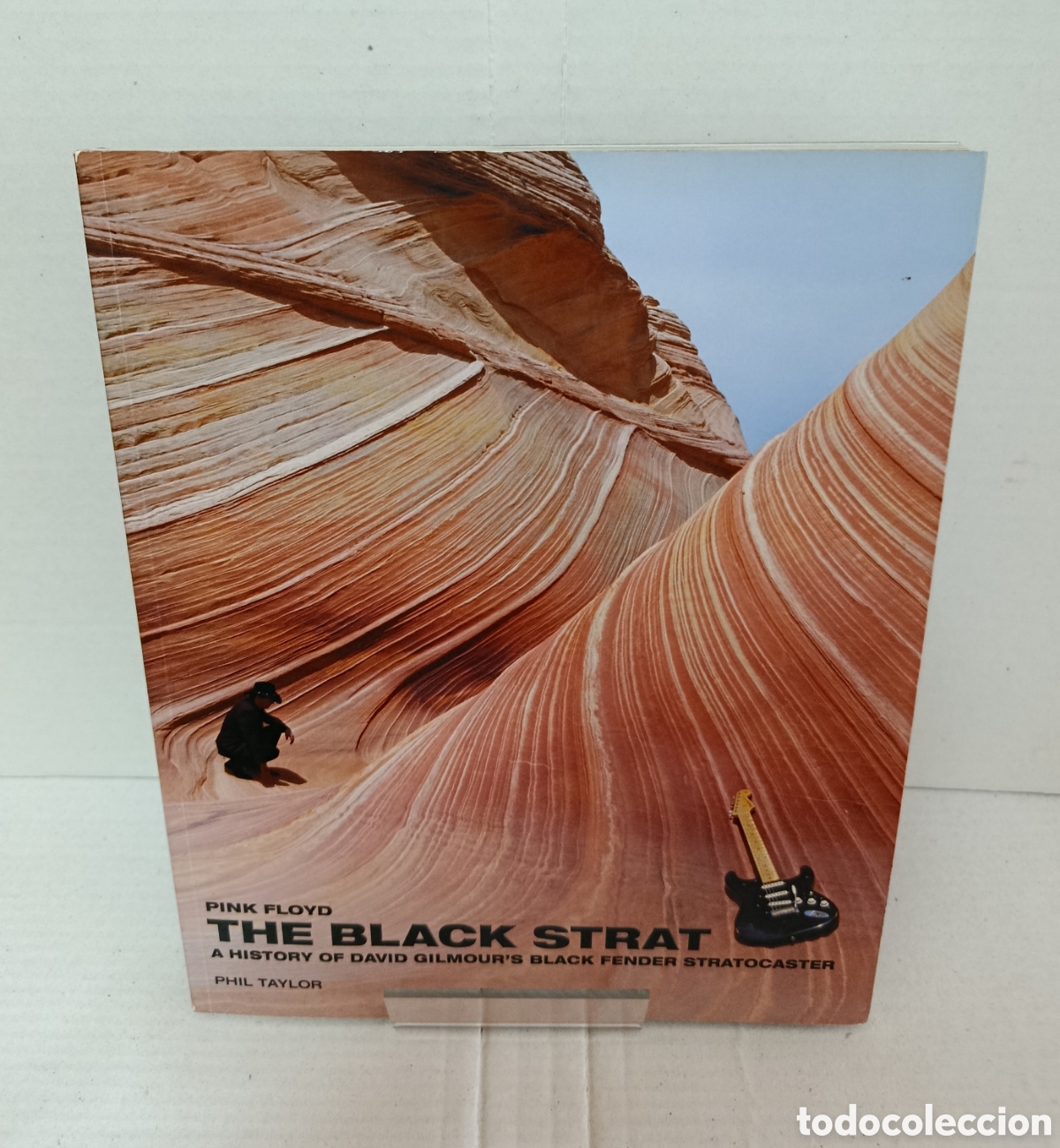 books: The Black Strat: &rdquo;Pink Floyd&rdquo; a History of David Gilmour's Black Fender Stratocaster