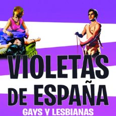 Libros: VIOLETAS DE ESPAÑA. GAYS Y LESBIANAS EN EL CINE DE FRANCO - ALEJANDRO MELERO. Lote 212871446