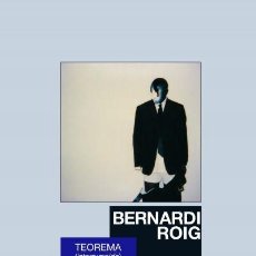Libros: BERNARDO ROIG. TEOREMA (INTERRUMPIDO). VARIOS AUTORES. MAIA EDICIONES Y FUNDACIÓN LUIS SEOANE