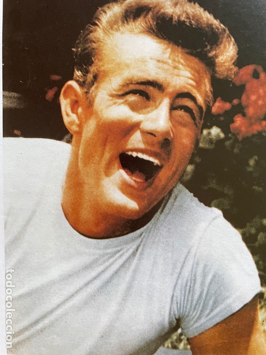 Libros: James Dean (Barney Hoskins) - Foto 6