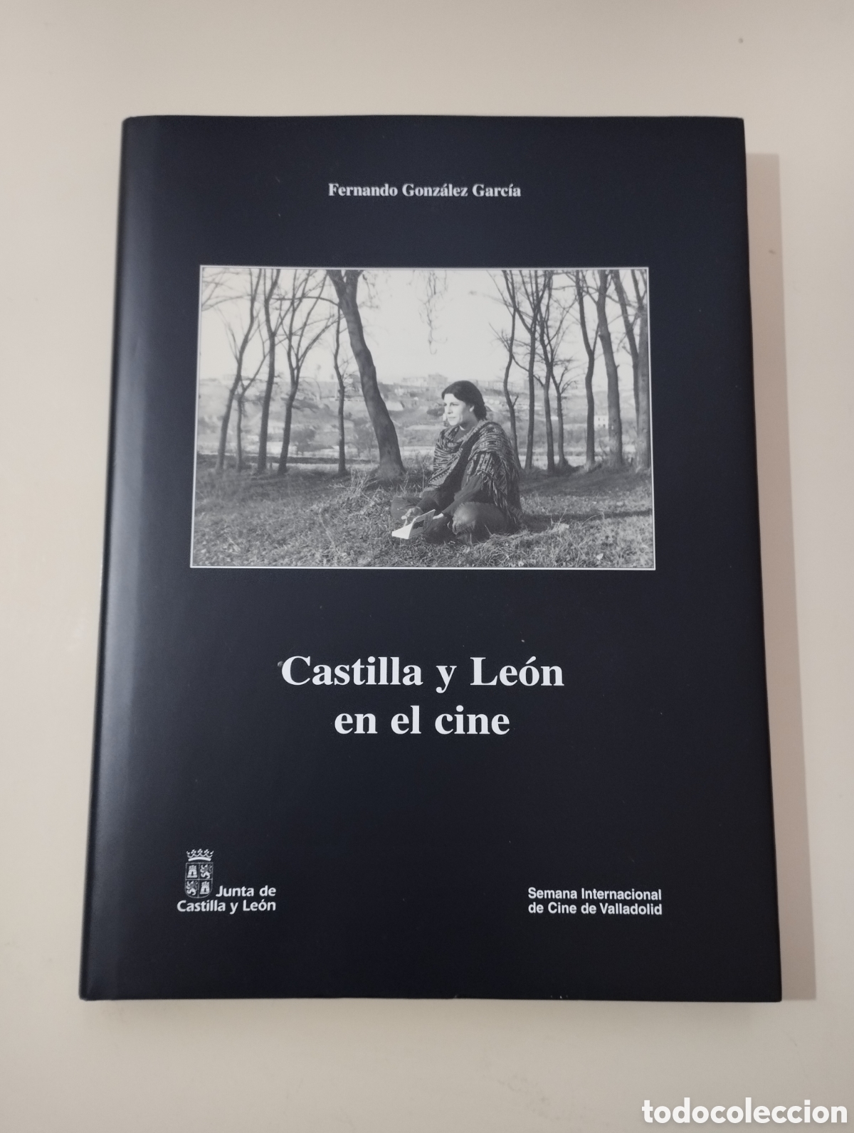 Libros: Castilla y Le&oacute;n en el Cine. - Foto 1