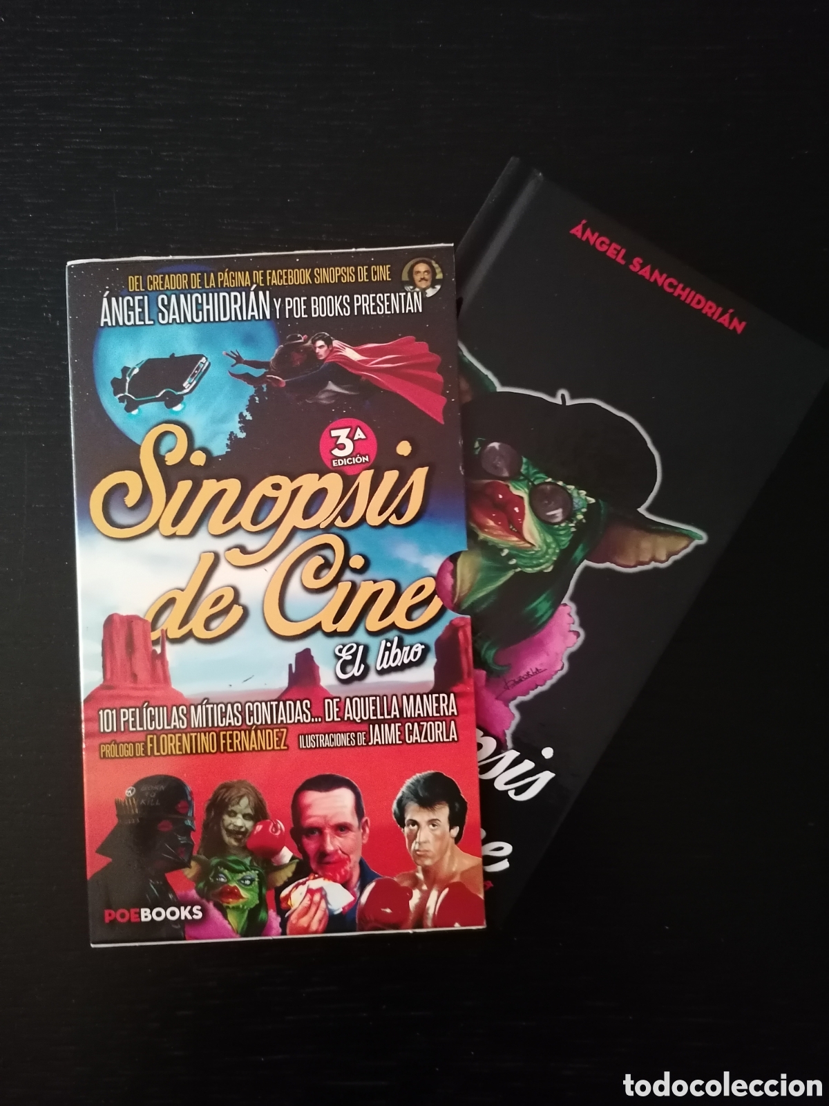 Libros: Sinopsis de cine, de &Aacute;ngel Sanchidri&aacute;n - Foto 1
