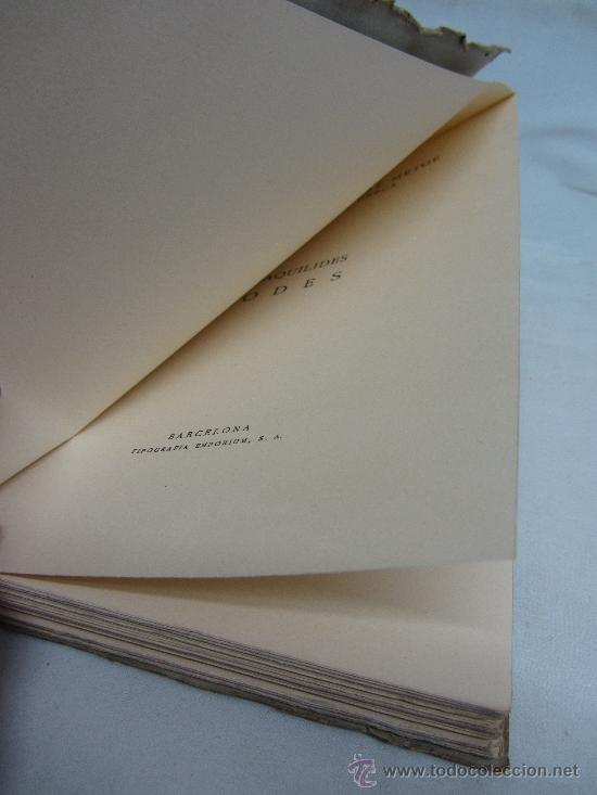 Libros de segunda mano: Primera edici&oacute;n. Fundaci&oacute; Bernat Metge, Cl&agrave;ssics grecs i llatins / BAQU&Iacute;LIDES. Odes. - Foto 4