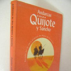 Libros de segunda mano: ANDANZAS DE DON QUIJOTE Y SANCHO,CERVANTES,CONCHA LOPEZ,2005,BRUÑO ED,