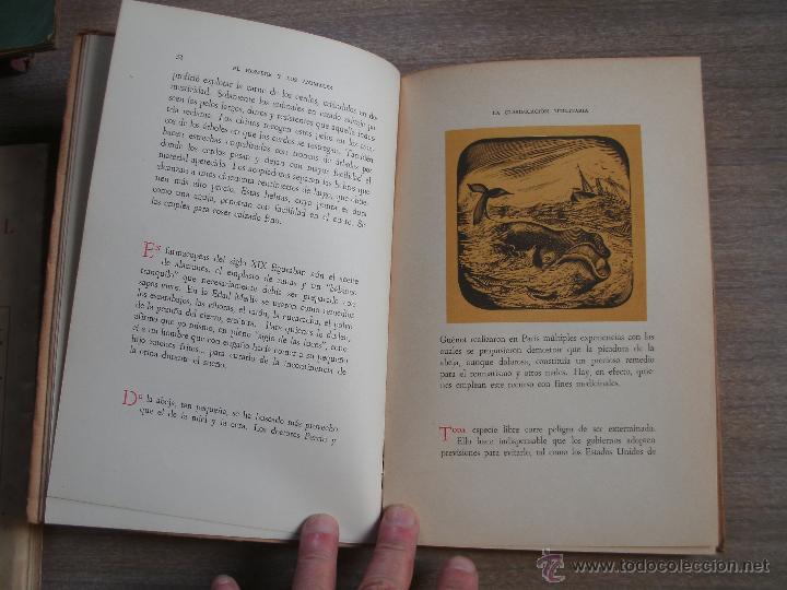 Libros de segunda mano: CONSTANCIO C. VIGIL - EL HOMBRE Y LOS ANIMALES - Foto 2