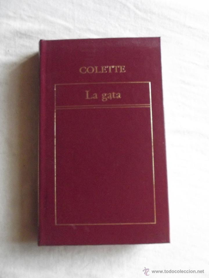 Libros de segunda mano: LA GATA POR COLETTE - Foto 1