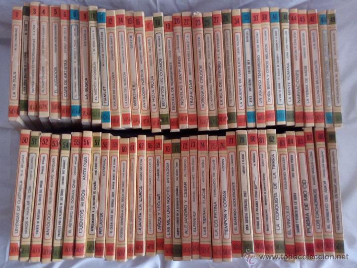 Libros de segunda mano: LOTE DE 87 LIBROS COLECCI&Oacute;N BIBLIOTECA B&Aacute;SICA SALVAT - Foto 1
