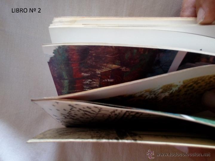 Libros de segunda mano: LOTE DE 87 LIBROS COLECCI&Oacute;N BIBLIOTECA B&Aacute;SICA SALVAT - Foto 3