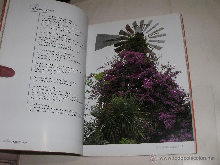Libros de segunda mano: JORGE L. BORGES - BORGES DE BUENOS AIRES - - Foto 3
