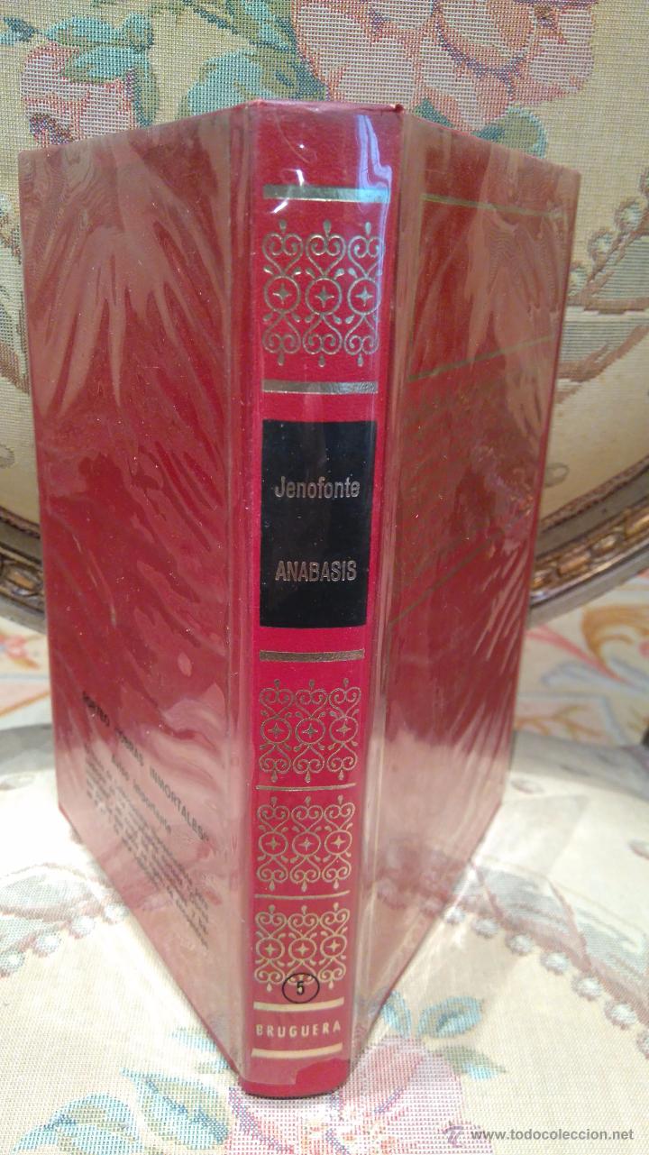 Libros de segunda mano: ANABASIS, DE JENOFONTE. BRUGUERA, 1&ordf; EDICION 1.974. - Foto 1