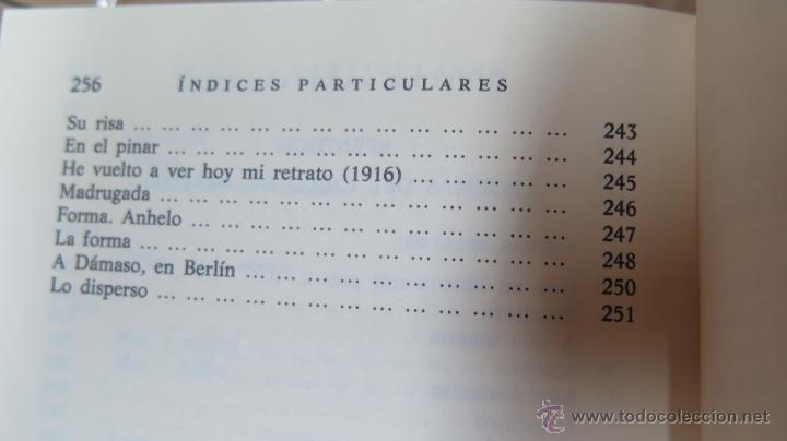 Libros de segunda mano: AMBITO. VICENTE ALEIXANDRE. CLASICOS CASTALIA. ILUSTRADO - Foto 5