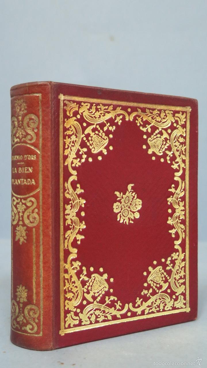 Libros de segunda mano: 1941.- LA BIEN PLANTADA. EUGENIO D&acute;ORS. MONTANER Y SIMON - Foto 1