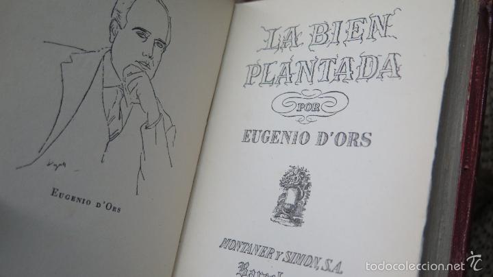 Libros de segunda mano: 1941.- LA BIEN PLANTADA. EUGENIO D&acute;ORS. MONTANER Y SIMON - Foto 3