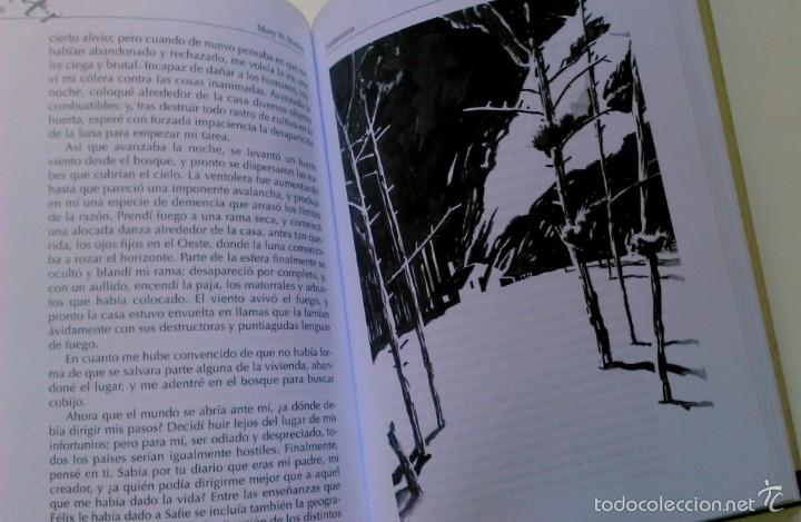Libros de segunda mano: Frankenstein Mary Shelley Anaya - Foto 3