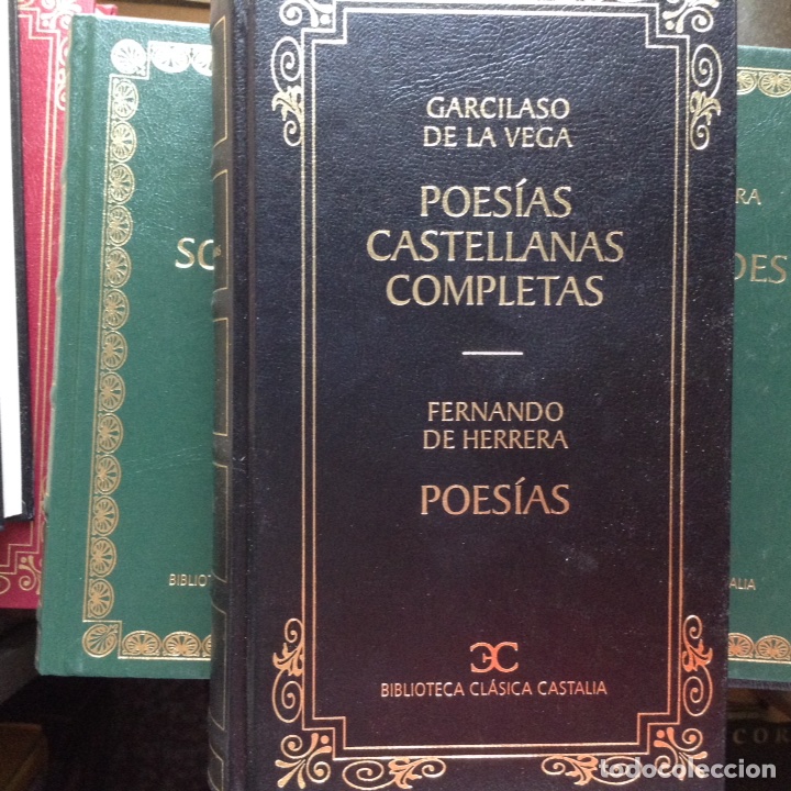 Libros de segunda mano: Gracioso de la Vega/ Fernando de Herrera. Castalia - Foto 1