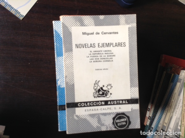 Libros de segunda mano: Novelas ejemplares. Miguel de Cervantes - Foto 1