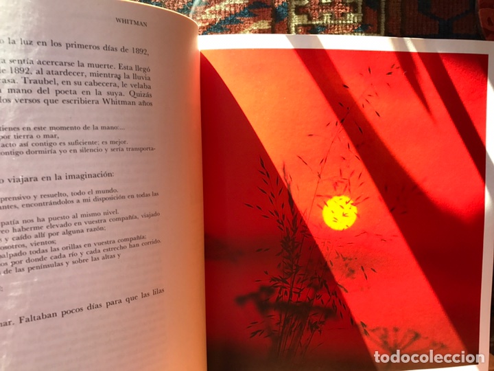 Libros de segunda mano: Whitman / Mark Twain. Cl&aacute;sicos Carroggio - Foto 6