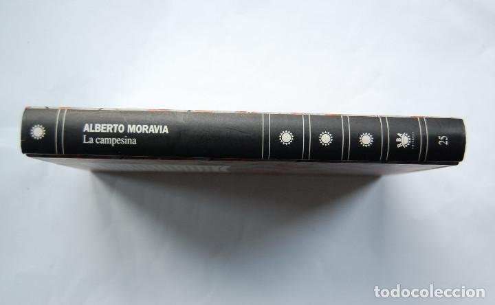 Libros de segunda mano: la campesina de alberto moravia. RBA. 1992. - Foto 2