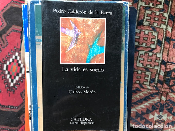 Libros de segunda mano: La vida es sue&ntilde;o. Pedro Calder&oacute;n de la Barca - Foto 1