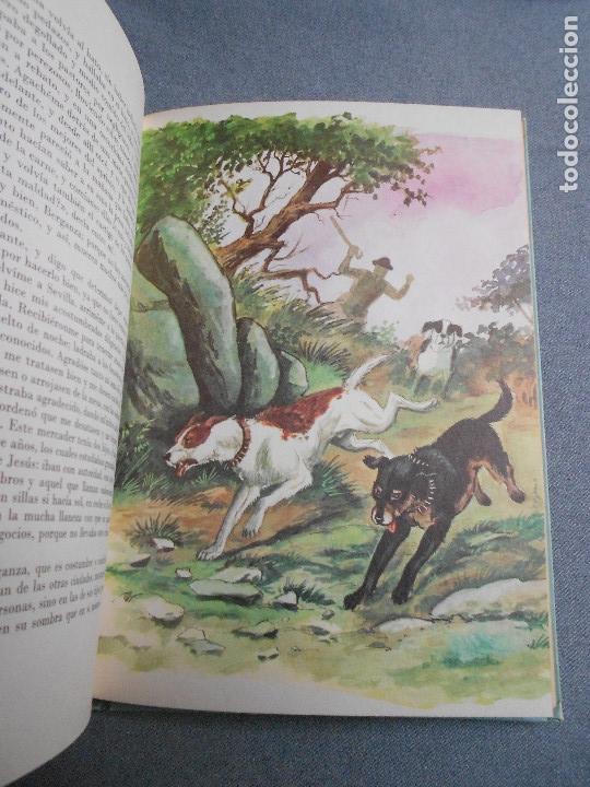 Libros de segunda mano: NOVELAS EJEMPLARES. SERIE II - Foto 8