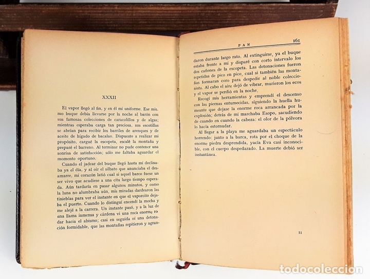 Libros de segunda mano: PAN. KNUT HAMSUN. BIBLIOTECA NUEVA. S/F. - Foto 4
