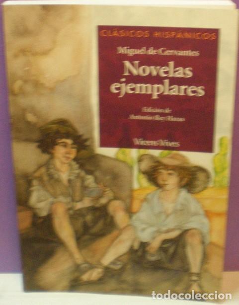 Libros de segunda mano: Novelas Ejemplares - Miguel de Cervantes - Foto 1