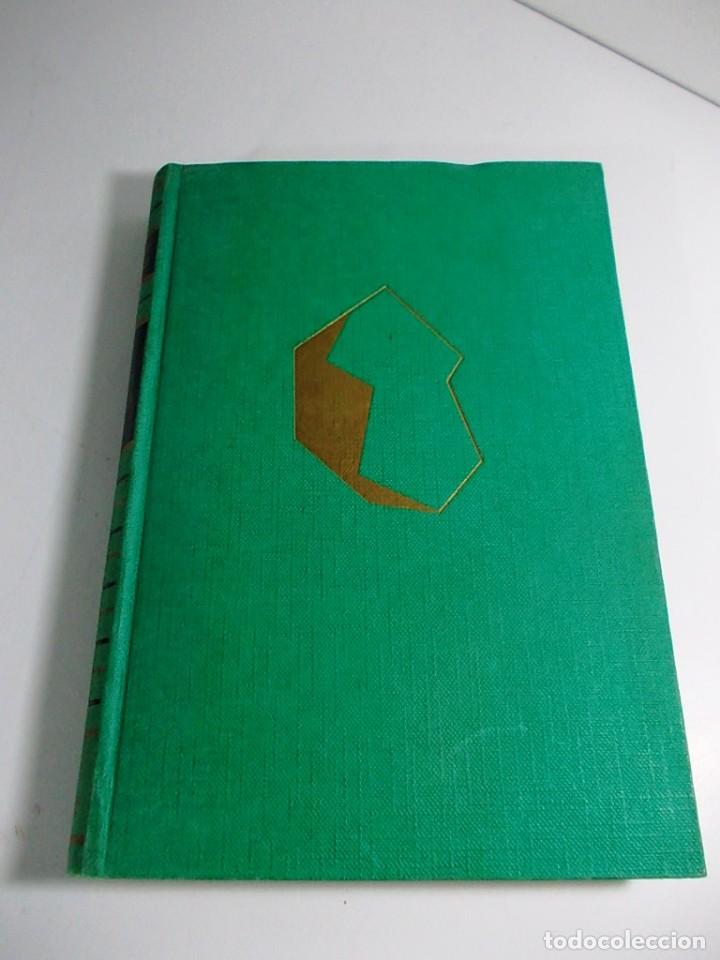 Libros de segunda mano: Libro la piedra de Domingo Manfredi - Foto 3