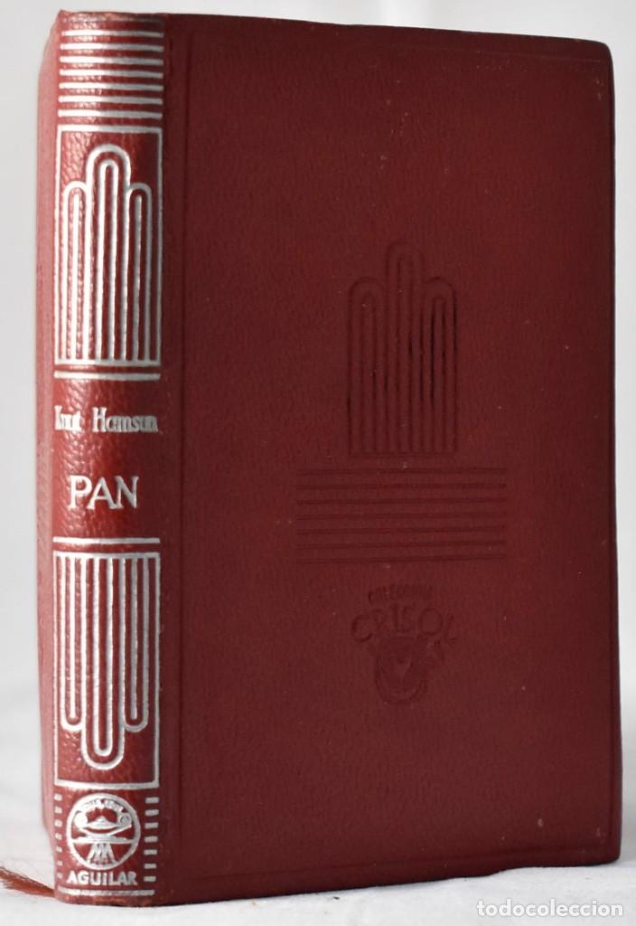 Libros de segunda mano: Pan. Hamsun, Knut - Foto 1