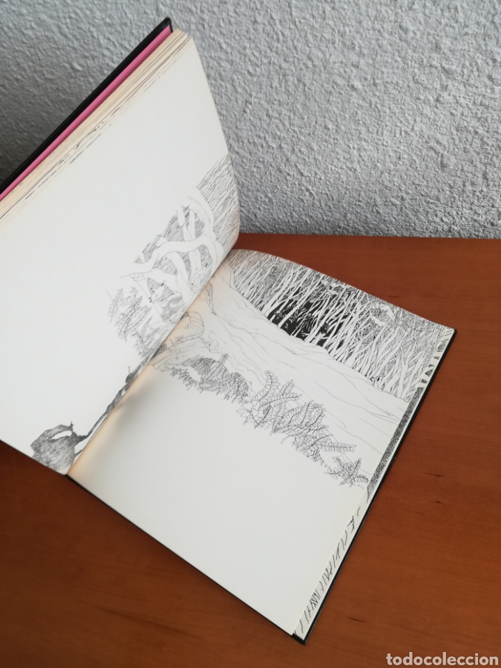 Libros de segunda mano: Borges. Rosa y Azul - a&ntilde;o 1977 Primera edici&oacute;n - Foto 27