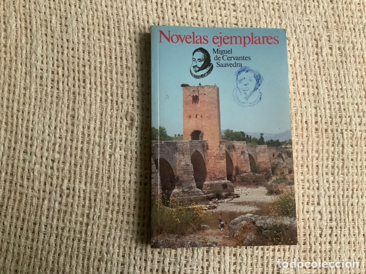 Libros de segunda mano: NOVELAS EJEMPLARES. / MIGUEL DE CERVANTES - Foto 1