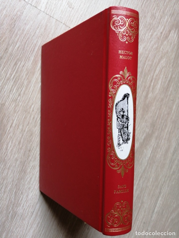Libros de segunda mano: SANS FAMILLE. HECTOR MALOT. en franc&eacute;s. Dessins de E. Bayard. - Foto 2