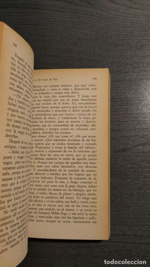 Libros de segunda mano: EL ASNO DE ORO  APULEYO  EDITORIAL ALIANZA . - Foto 6
