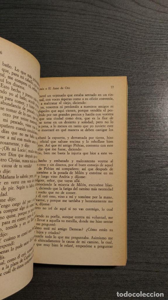 Libros de segunda mano: EL ASNO DE ORO  APULEYO  EDITORIAL ALIANZA . - Foto 7