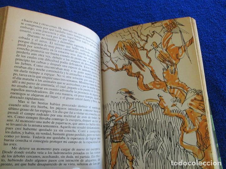 Libros de segunda mano: ROBINSON CRUSOE Daniel Defoe Editorial Everest 1981 - Foto 6
