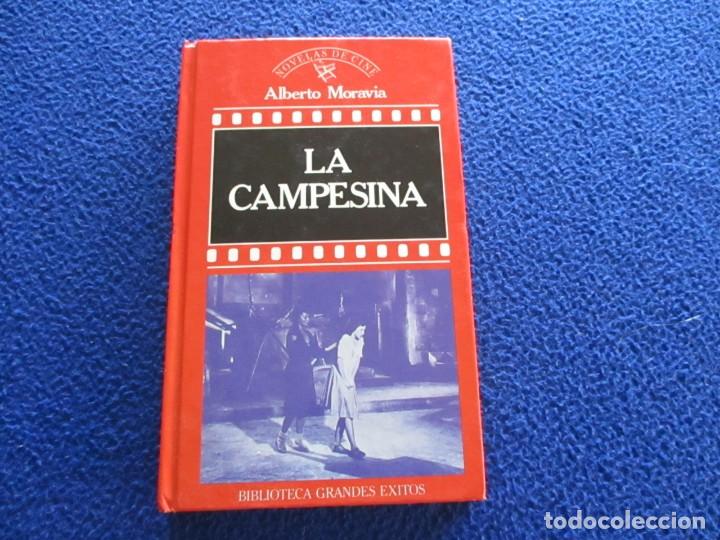 Libros de segunda mano: LA CAMPESINA Albeerto Moravia Editorial Orbis 1988 - Foto 1