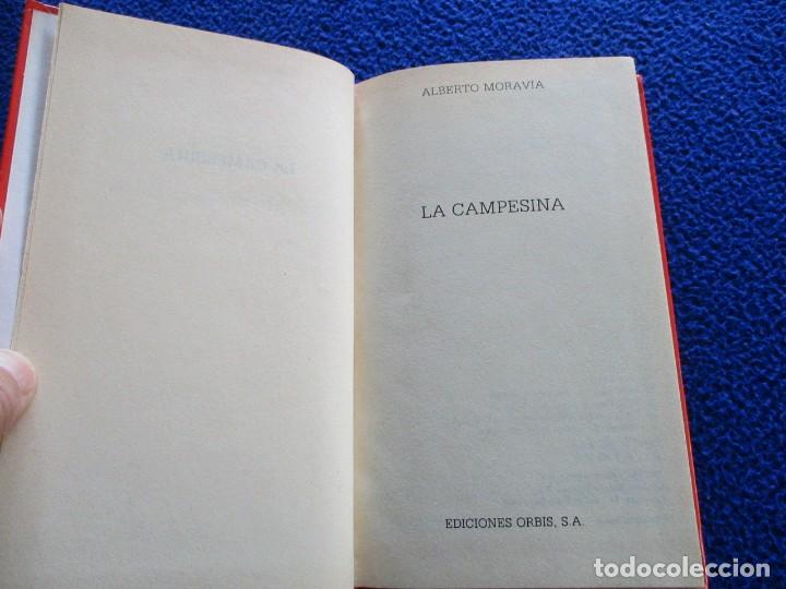 Libros de segunda mano: LA CAMPESINA Albeerto Moravia Editorial Orbis 1988 - Foto 4