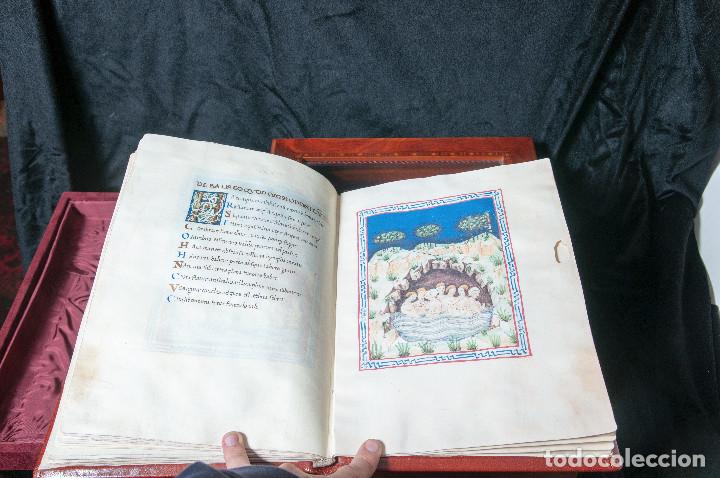 Libros de segunda mano: Balneis Puteoli - Scriptorium - Foto 6