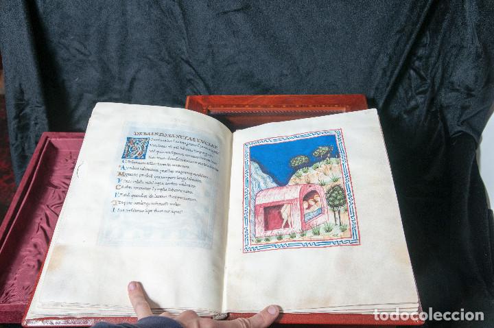 Libros de segunda mano: Balneis Puteoli - Scriptorium - Foto 7