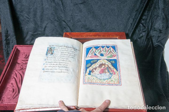 Libros de segunda mano: Balneis Puteoli - Scriptorium - Foto 8