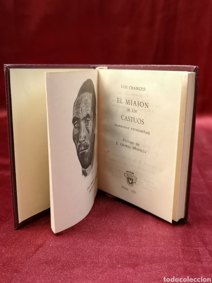 Libros de segunda mano: CRISOLIN - EL MIAJON DE LOS CASTUOS - 020 - Foto 1