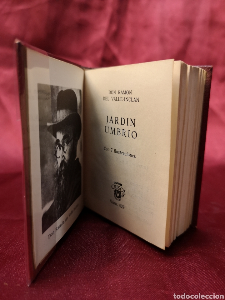 Libros de segunda mano: CRISOLIN - JARDIN UMBRIO - 029 - Foto 1