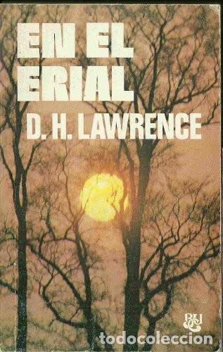 Libros de segunda mano: En el erial. D. H. Lawrence - Foto 1